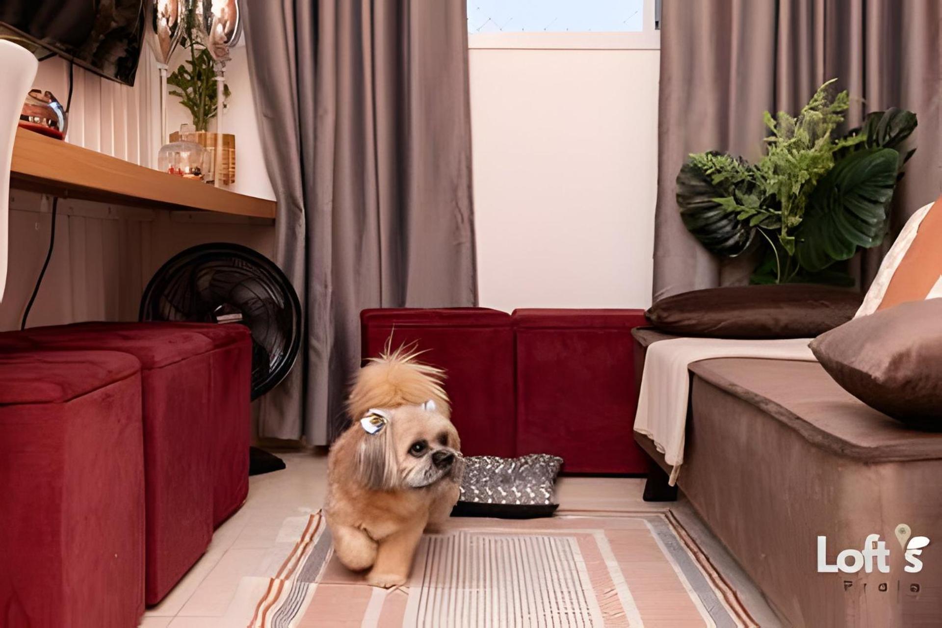 Loftspraia Zona Sul Perto Clube Elegance. Apartment Uberlandia